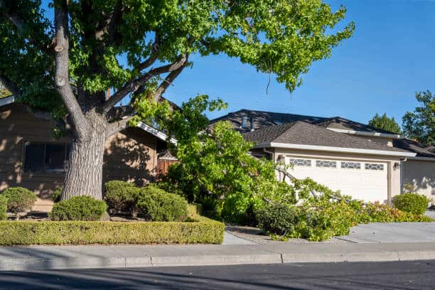 Storm cleanup services by Guzman Tree Service